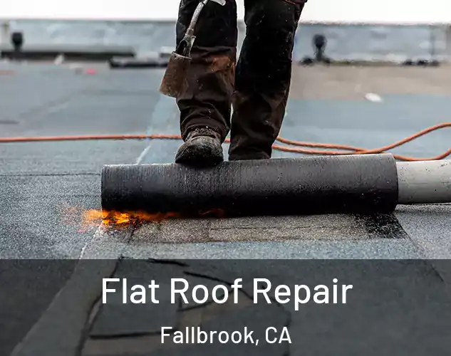  Flat Roof Repair Fallbrook, CA