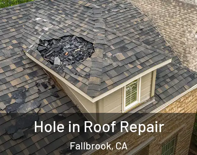  Hole in Roof Repair Fallbrook, CA