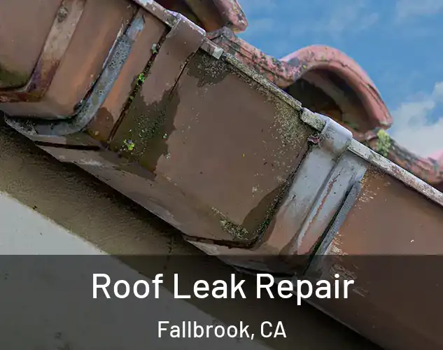  Roof Leak Repair Fallbrook, CA