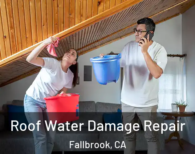  Roof Water Damage Repair Fallbrook, CA