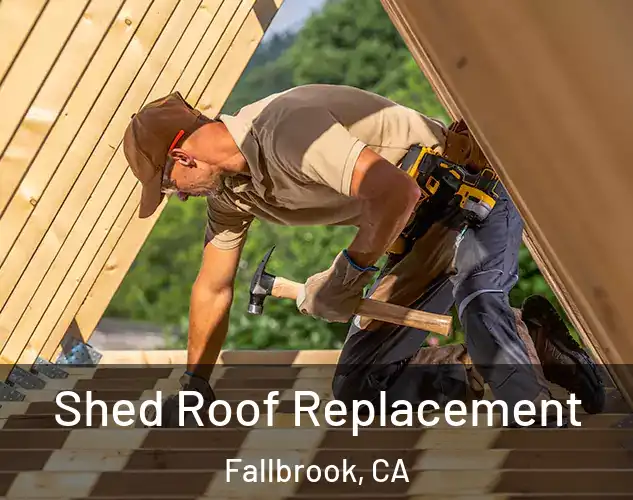  Shed Roof Replacement Fallbrook, CA